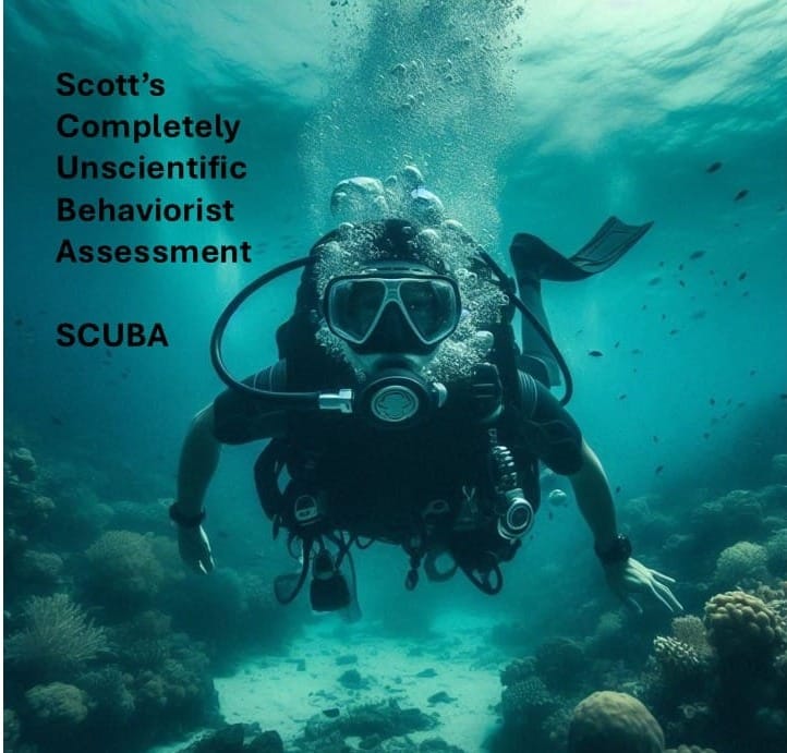 🤿SCUBA Archive