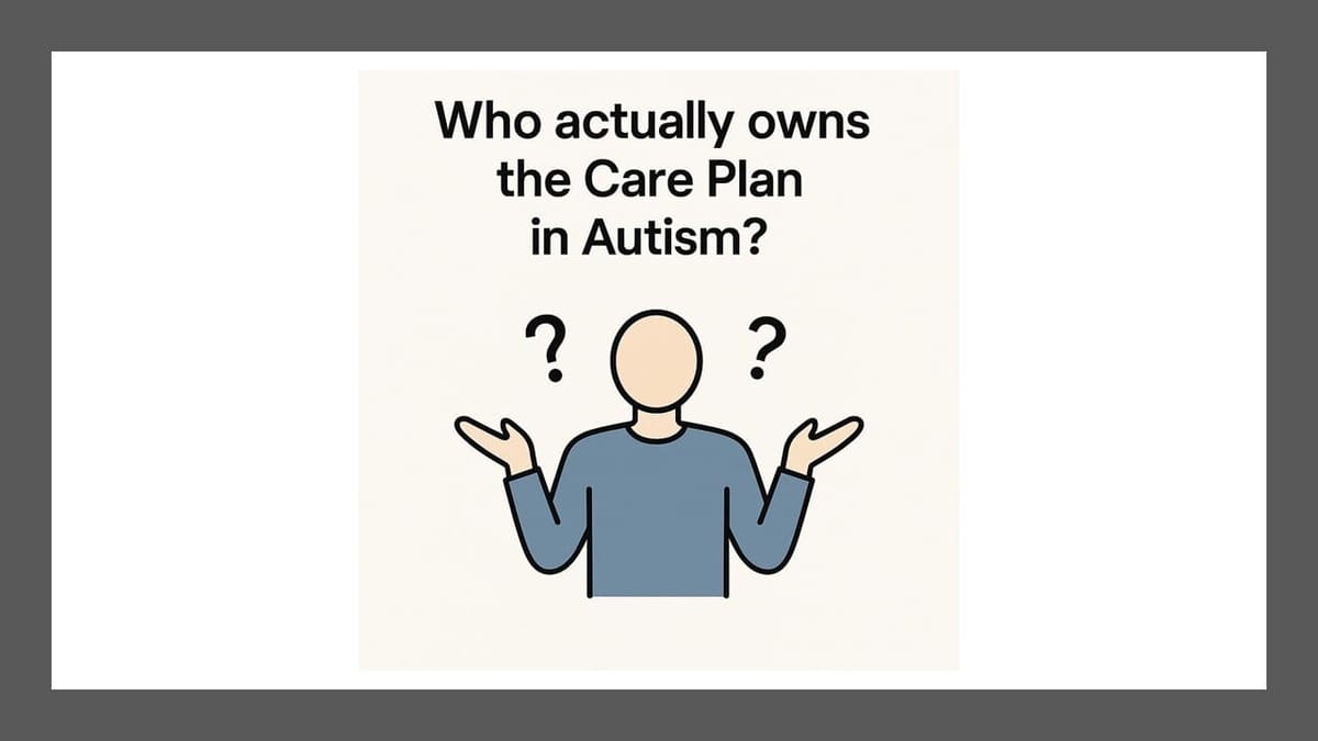 Who Actually Owns the Care Plan in Autism?
